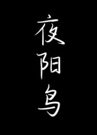 夜阳的人物形象